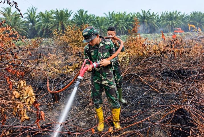 Karhutla di Payarumbai Inhu: Api Padam, 45 Hektare Lahan Gambut Masih Harus Didinginkan